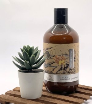 Ginger Hair Conditioner