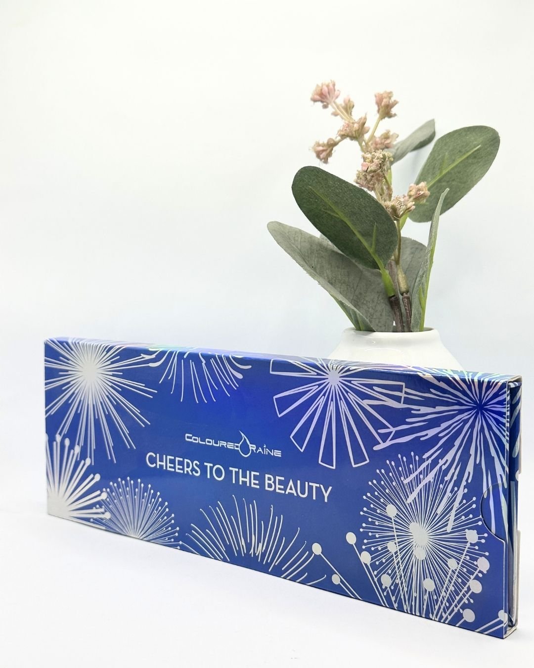 Color Rained Cheers to the Beauty Makeup Kit