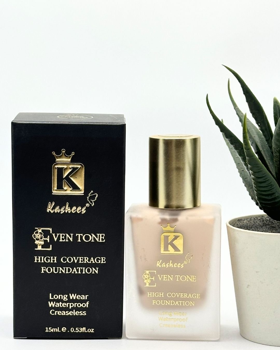 Kashee Foundation - Image 3