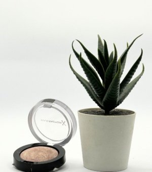 Max Factor Color Me uff Blush - 20 lavish mauve